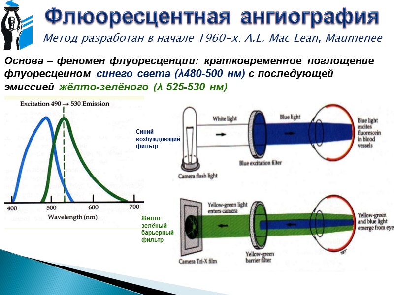 Флюоресцентная ангиография Б. Нарушение локальной перфузии (окклюзия артерий, вен, капилляров, аваскулярные ишемические зоны, атрофия