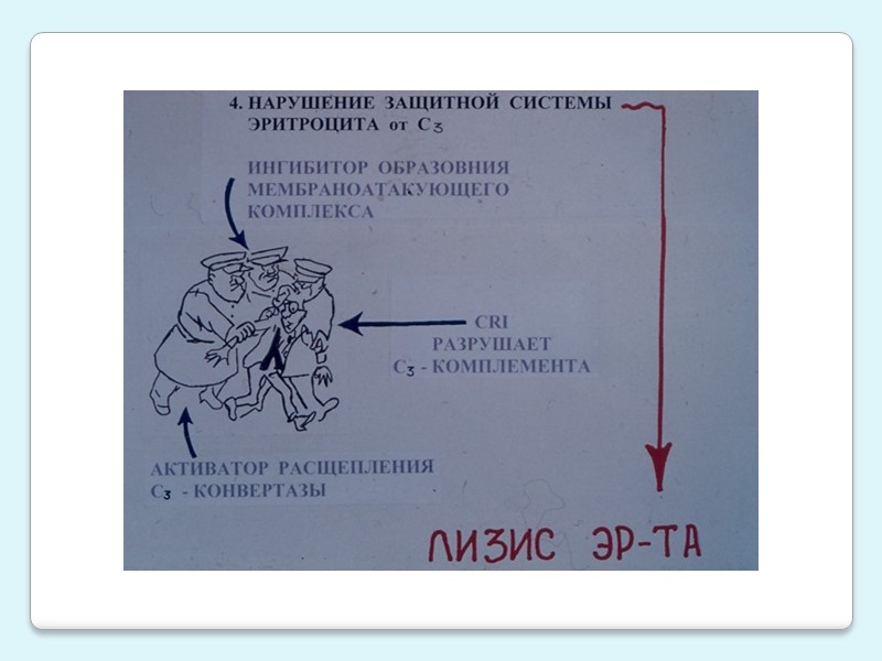 Метаболизм железа