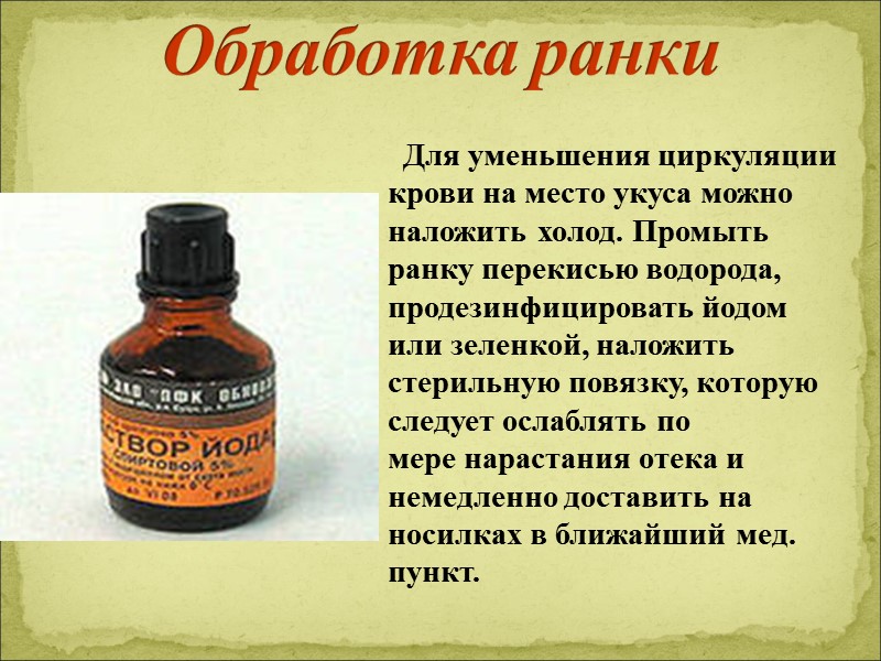 Общие правила  по разведению костров:   • Костер необходимо защитить от большого