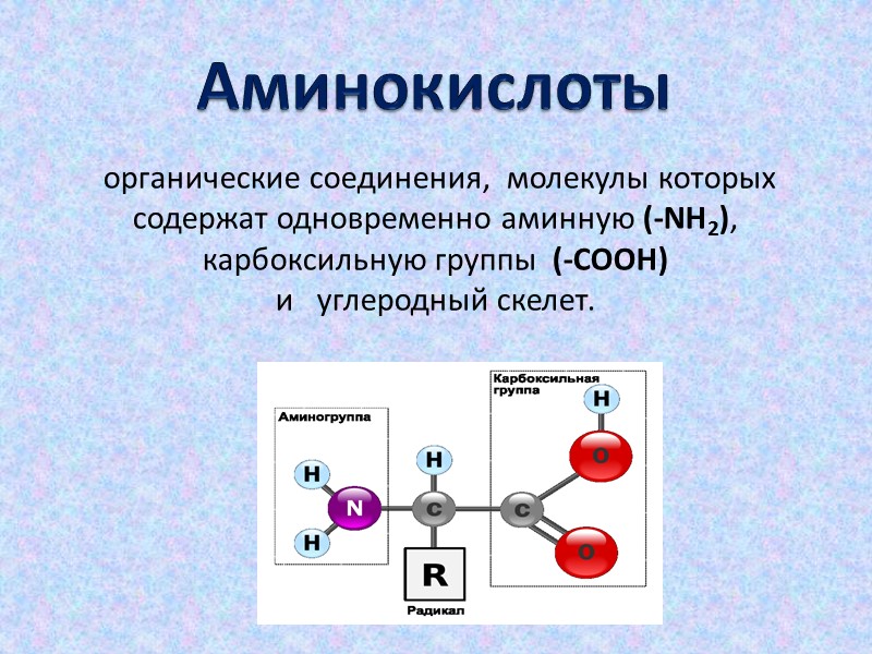 Аминокислоты  органические соединения,  молекулы которых  содержат одновременно аминную (-NH2),  карбоксильную