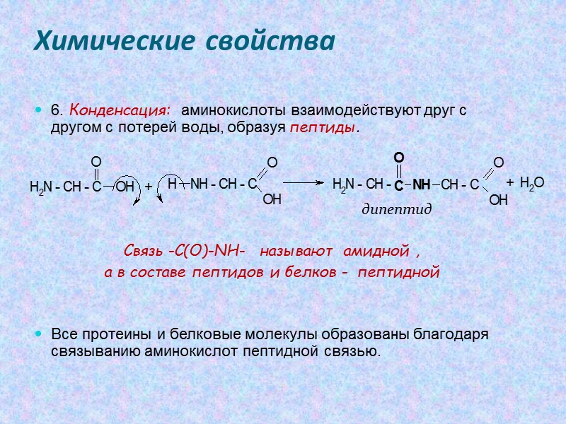 Изомерия аминокислот Изомерия положения функциональных групп   Изомерия углеродного скелета