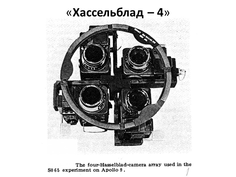 КСЯ мха КСЯ мха