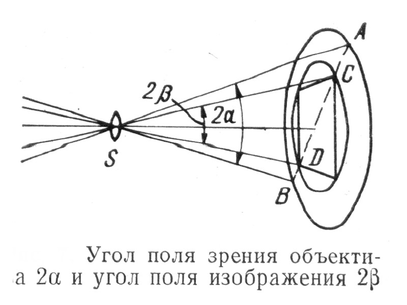 Береза Береза