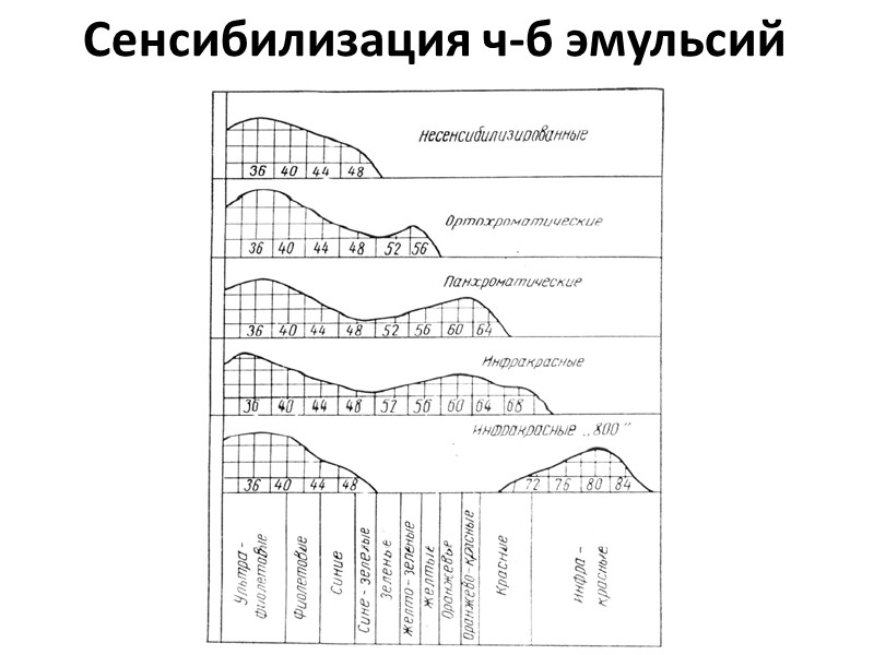 Осень Осень