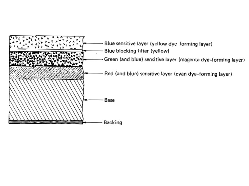 Осень - контраст Осень - контраст
