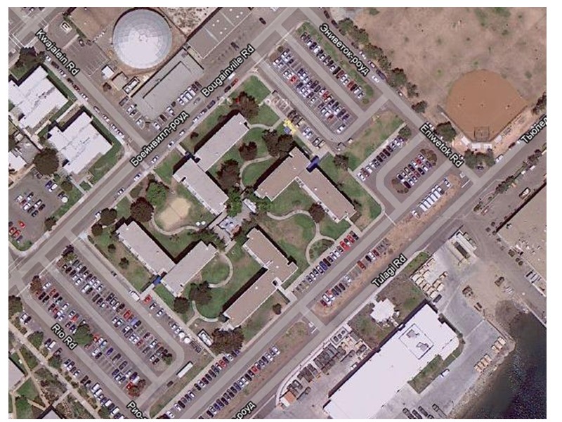 Сосна Сосна