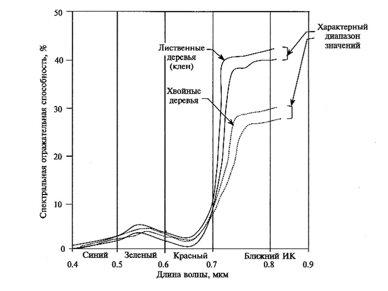 Выведение полноценной информации - карты Выведение полноценной информации - карты