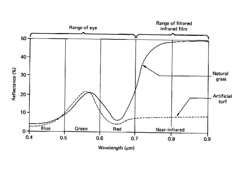 ДМ – техническая и информационная основа ГИС ДМ – техническая и информационная основа ГИС