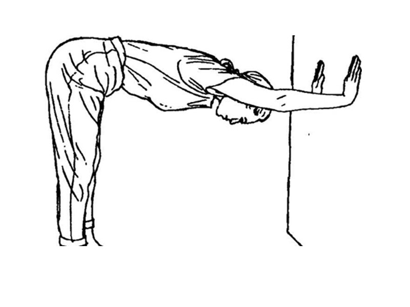 Мышцы бедра («Большой анатомический атлас» под ред. В.П. Воробьева. 2007).    