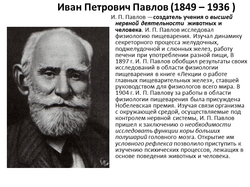 А. Б. Фохт (1848 – 1930)     Проф. А. Б. Фохт