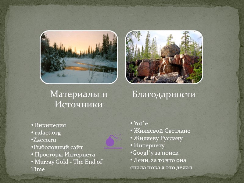 В России 40% от всей её площади (17.075.400 км².)  занимают  Леса !