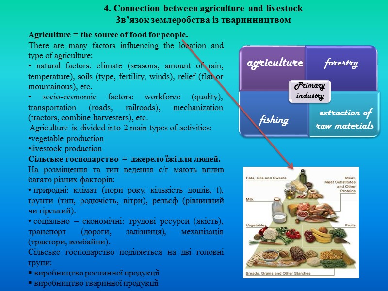 The three major functions that are basic to plant growth and development are: Photosynthesis