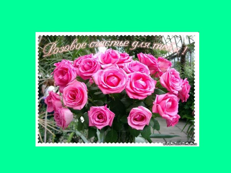 День рожденья – прекрасная дата, Не беда, что уходят года – Жизнь настолько светла