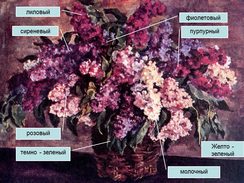 Кончаловский картины описание картины сирень в корзине