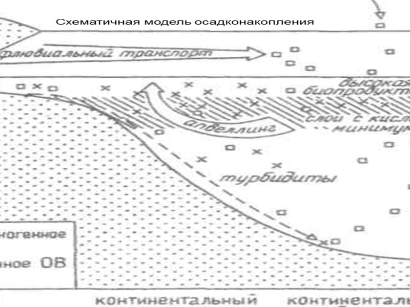 Мариа́нский жёлоб (или Мариа́нская впа́дина) — океанический глубоководный жёлоб на западе Тихого океана, самый