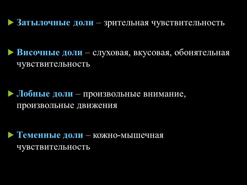 Средний мозг состоит из четверохолмия и ножек. В четверохолмии выделяют верхние и нижние бугры.