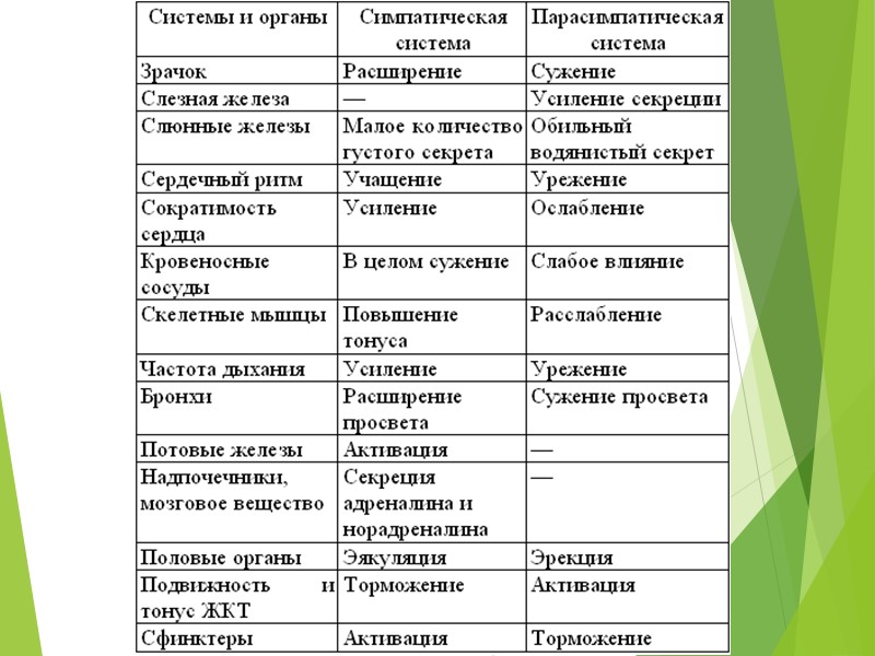 ФУНКЦИИ ПОЛУШАРИЙ В левом полушарии находятся центры устной и письменной речи.  Здесь же