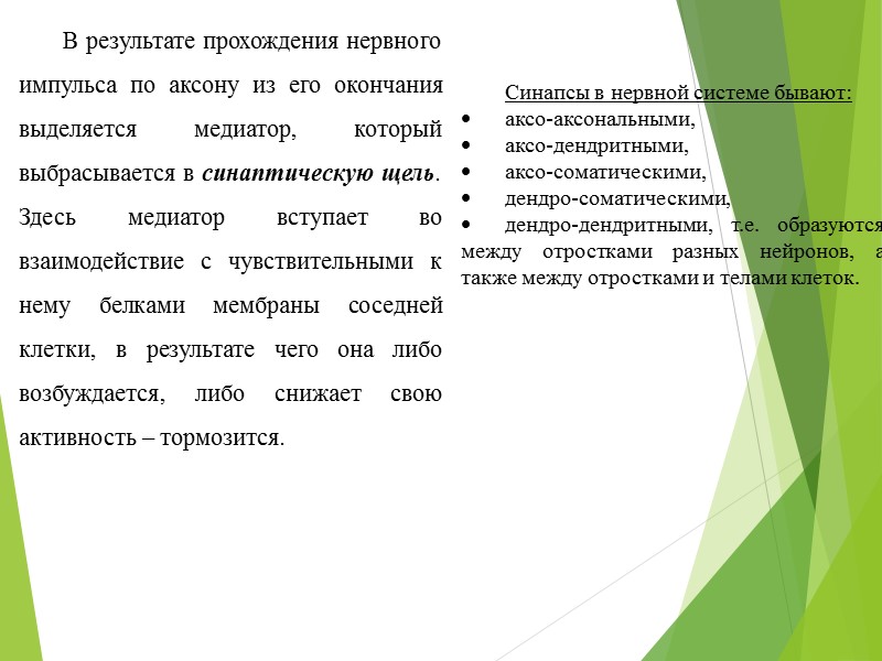 Гибель нейронов в физиологических условиях у взрослого человека сравнительно невелика и осуществляется механизмом апоптоза