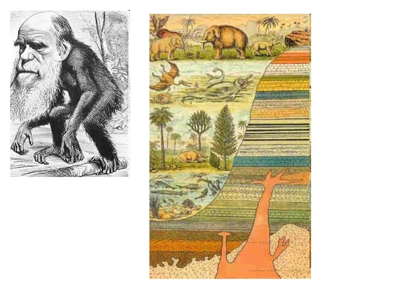 Крымская (Восточная) война 1853-1856 гг. первоначально велась между Российской и Османской империями за господство