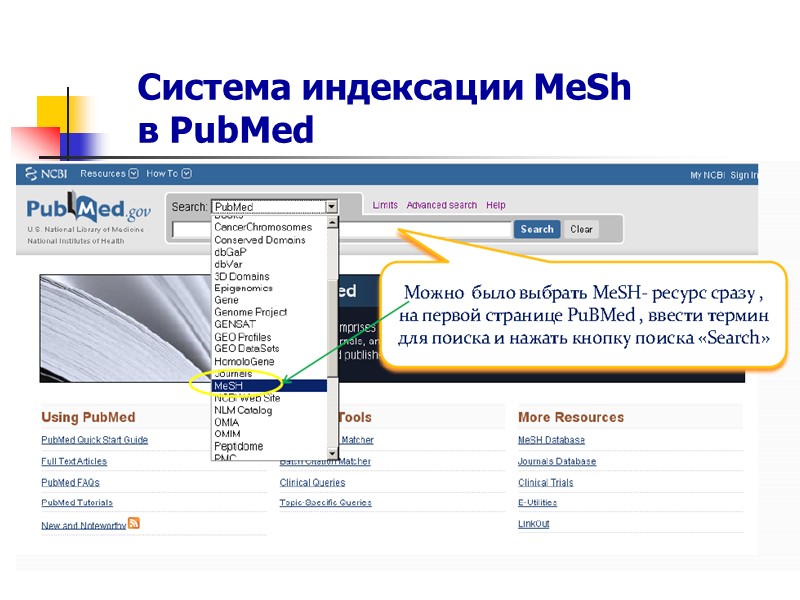 Стратегии поиска в PubMed ЛЕЧЕНИЕ • введите название болезни (термин MeSH); • выберите подрубрики