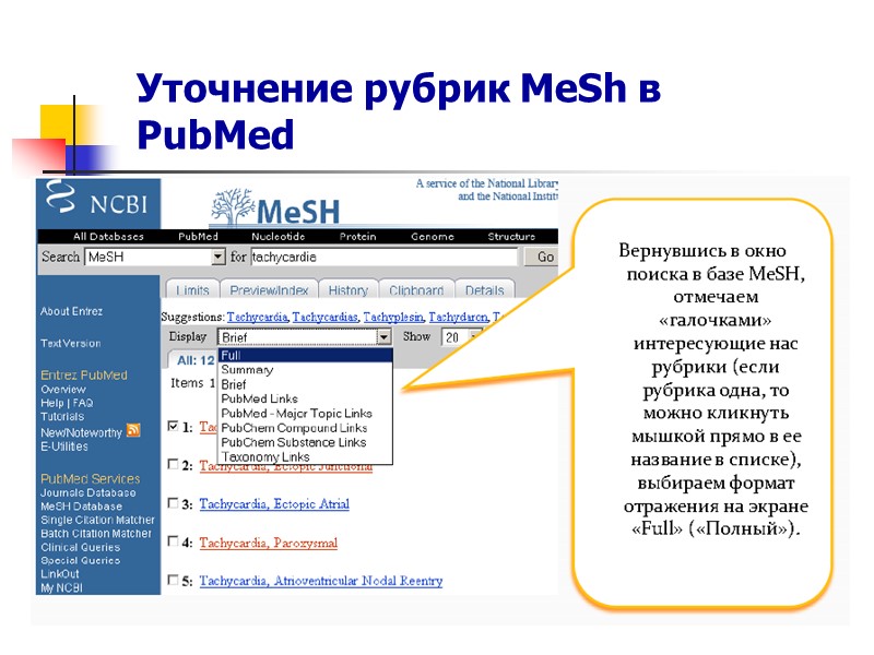 MeSH словарь включает в себя четыре вида условий поиска:   заголовки,  