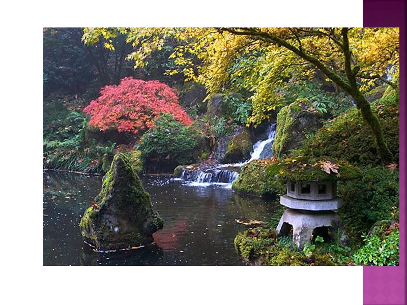 Існує два традиційних види японських садів: цукіяма і каре сансуй. Перший стиль ще називають