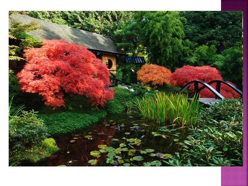 Отже, всі численні правила й розроблені класифікації компонентів традиційного японського саду з'явилися як результат