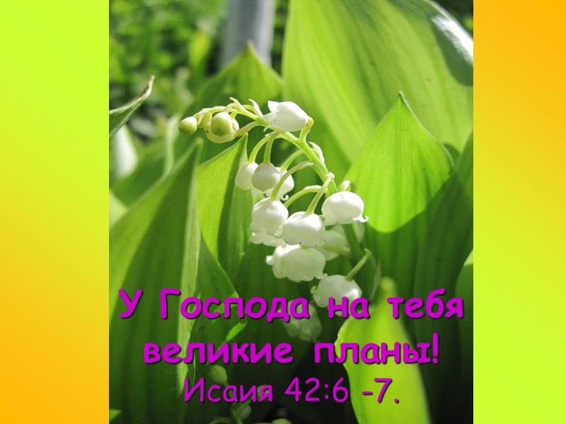 Живи так, чтобы твои слова и поступки были помощью и благословением для других, поддержкой
