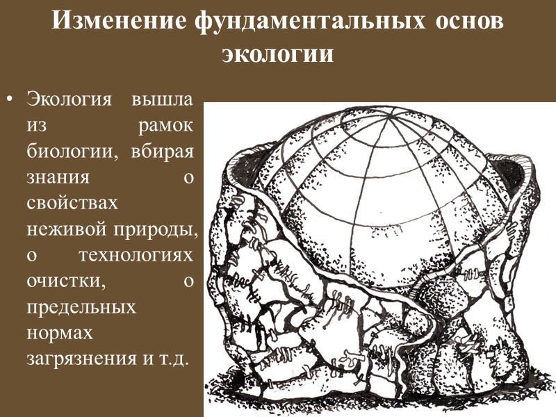 С распространением религии основополагающей стала  теория креационизма, утверждающая, что жизнь на Земле и