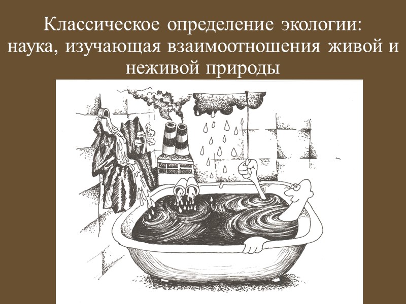 Бактерии  (лат.«маленькая палочка») около 6000 видов  функция -  находиться на «передовом