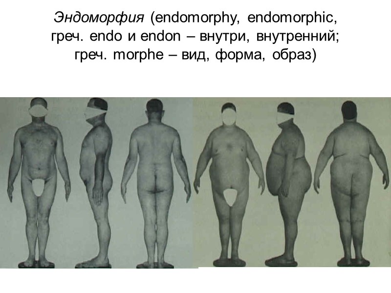 Пропорции тела пропорции тела - соотношение размеров отдельных его частей    