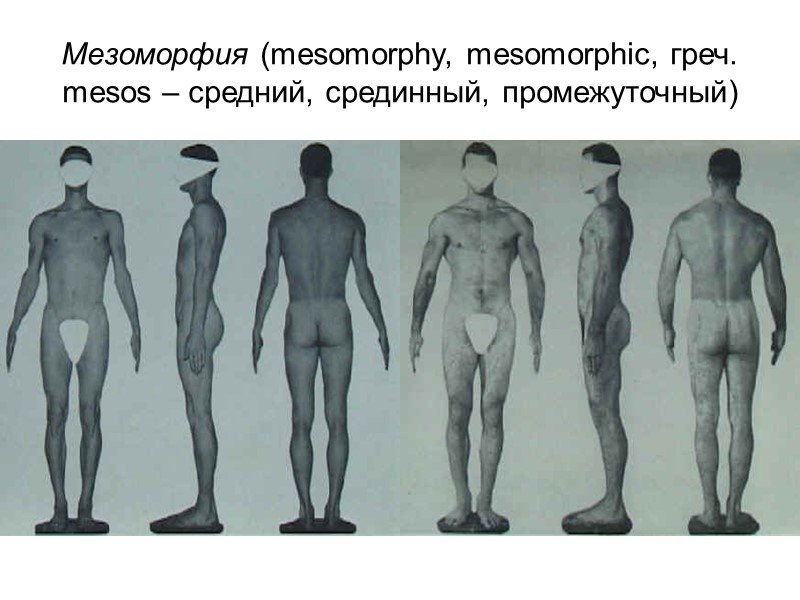 Шкала таннера для мальчиков с рисунками