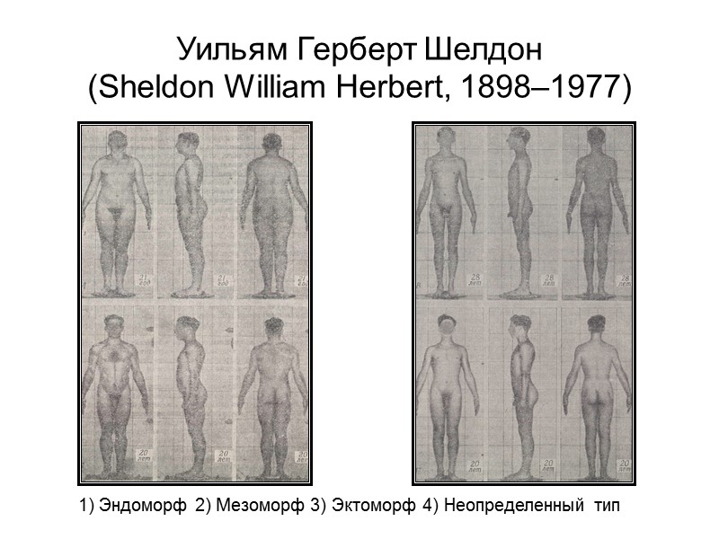 Возрастные изменения пропорций тела В допубертатном периоде дети имеют относительно большую голову, длинное туловище