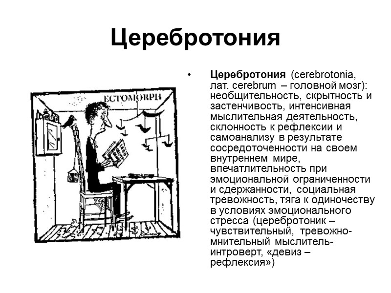 Индекс талии и бедер  (waist-hip ratio, WHR)  Женский тип жира, получивший название