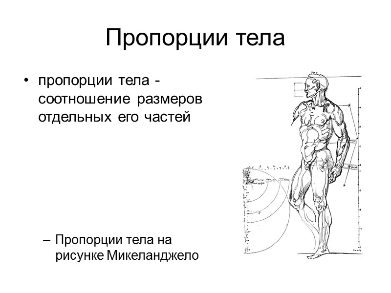 Принципы морфологии человека    Многоуровневый подход реализуется изучением изменчивости человека на популяционном,