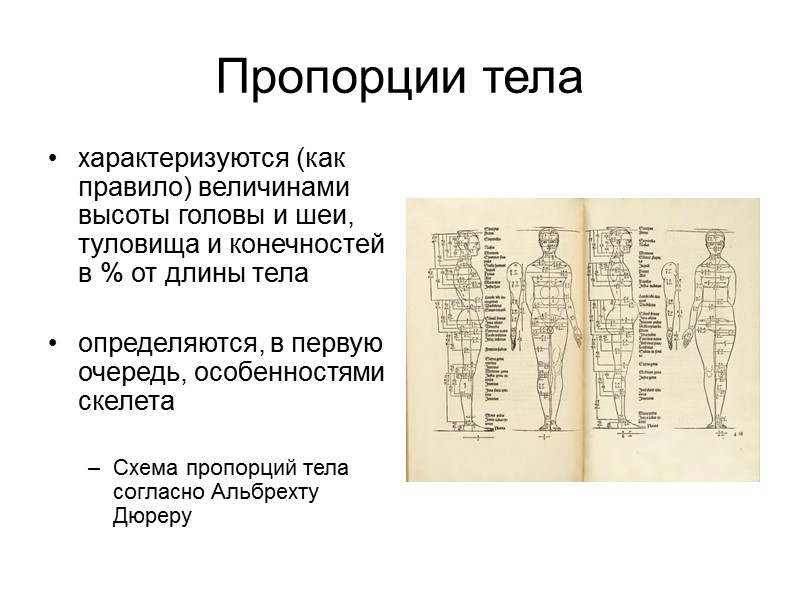 Антропология конспект. Медицинская антропология презентация. Шпаргалки по антропологии морфология человека.