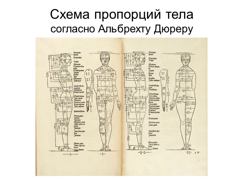 Медицинская антропология: гуманитарное и естественнонаучное направления гуманитарное направление – философская антропология медицины как одного