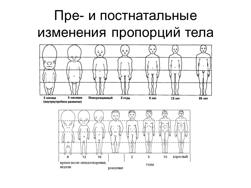 Медицинская антропология за рубежом  (гуманитарное направление): этномедицина – изучение концепций болезни в разных