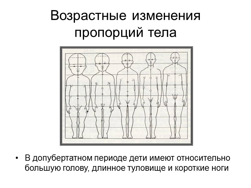 Медицинская антропология за рубежом  (гуманитарное направление): прикладная медицинская антропология – изучение культурных паттернов