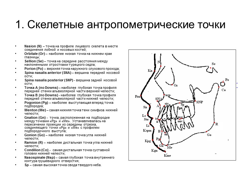 Соматотипология У. Шелдона (Sheldon)