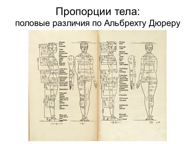 Методы физической и медицинской антропологии:  антропоскопия (методы оценки) морфологических особенностей человеческого тела 