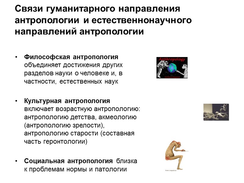 Частная дерматоглифическая конституция