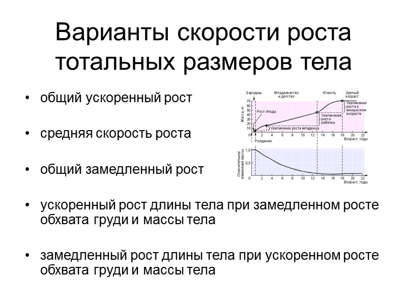 Виды осанки а – нормальная б – сутуловатая в –лордотическая г – кифотическая д