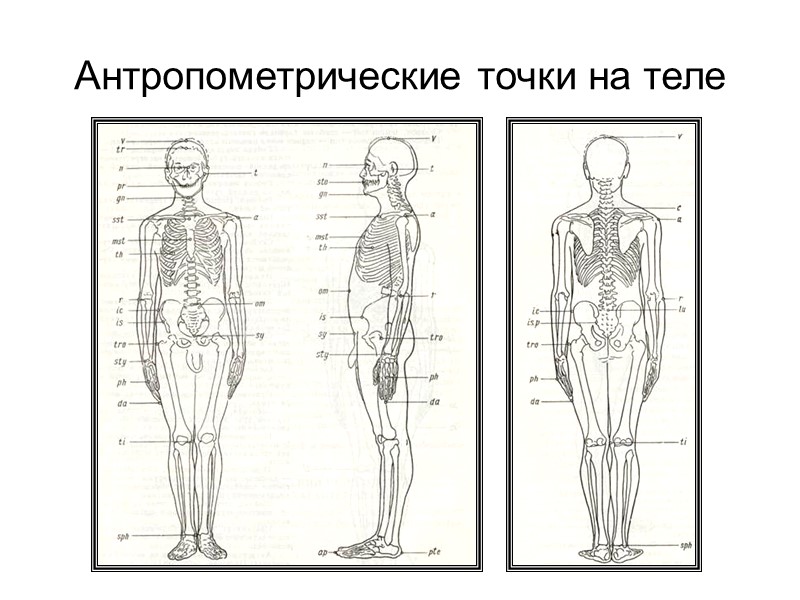 История дерматоглифики