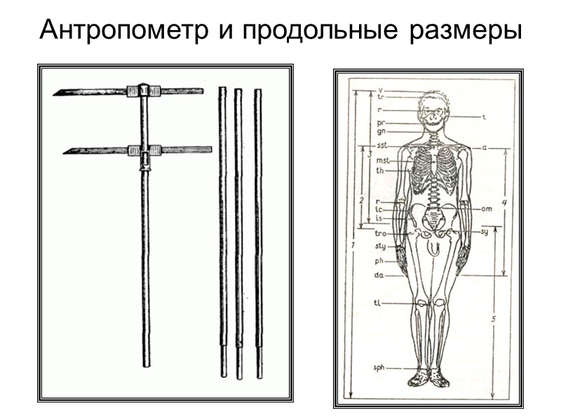 История дерматоглифики  Генри Фаулдс – шотландский врач и медицинский миссионер в Японии. В