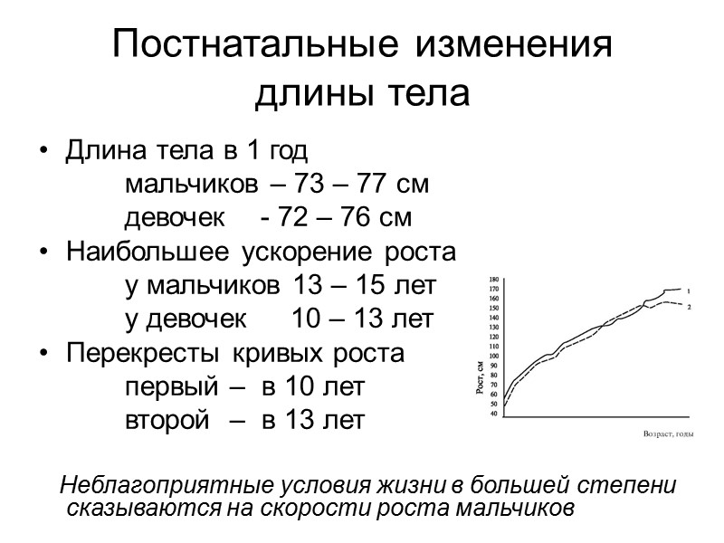 Завиток (Whorl – W)  Узор образован тремя потоками папиллярных линий:  проксимальным, огибающим