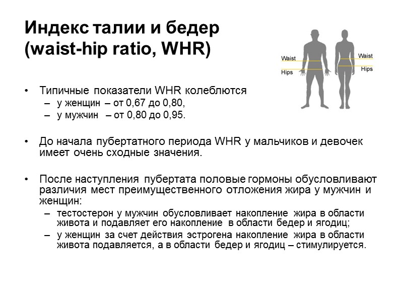 Типы профиля спинки носа (I-V) Типы положение основания носа