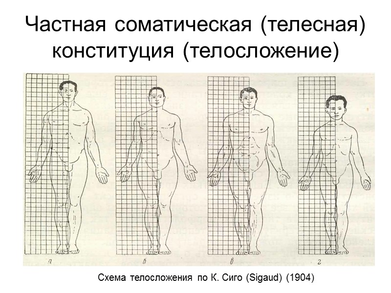 Антропометрические точки и размеры головы