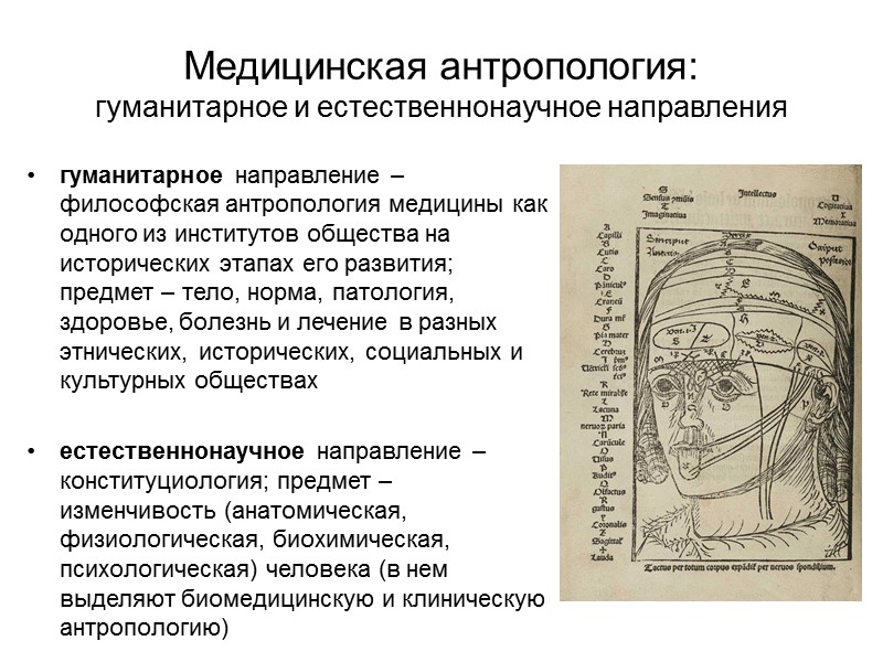 Антропометрические точки и размеры кисти