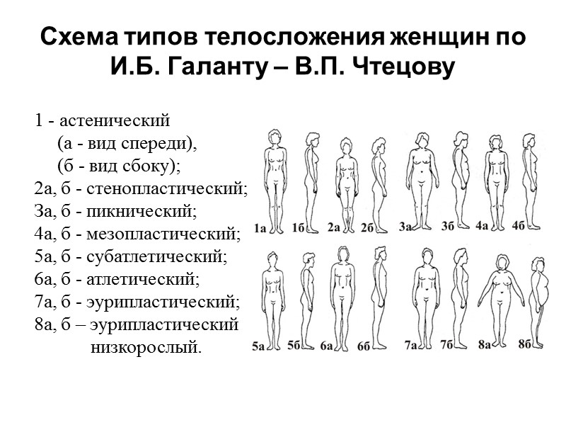 Конституция женщины. Типы телосложения. Классификация по типу телосложения человека. Классификации типов телосложения по. Типы телосложения по Галанту.